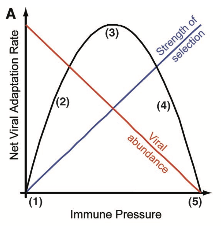 chart shared by @trvrb