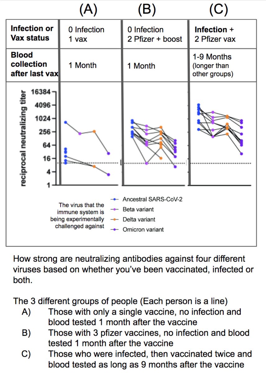 chart shared by @michaelmina_lab